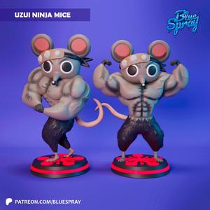 NINJA MICE