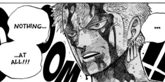 zoro nothing happened