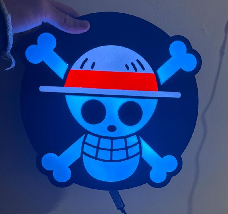 One Piece—Straw Hat Pirates LED Light Box