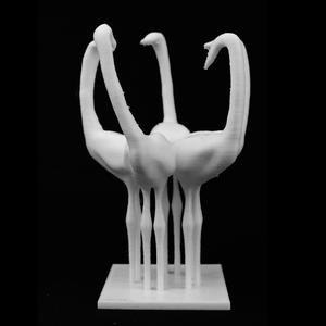 Storks in Lodz, Poland