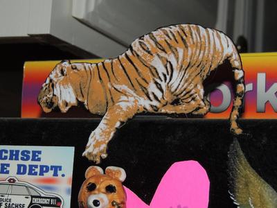 Cincinnati - In-Sync Exotics