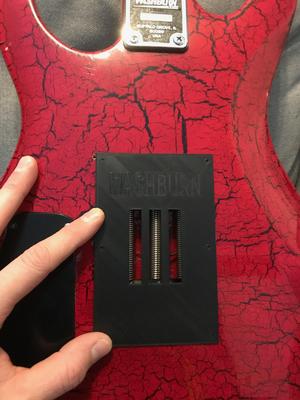 Electric guitar backplate