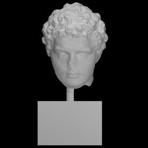 Portrait head of a man