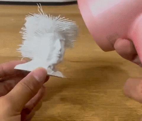 President Trump with flowing hair