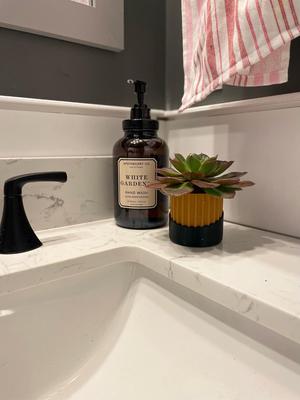 Midnight Majesty: The Gilded Noir Plant Pot