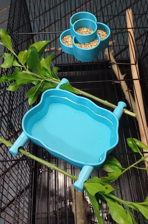 bird feeder and water bowl
