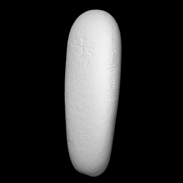 Ogham Stone - Ballintaggart VI (Baile ant Sagairt), Co. Kerry