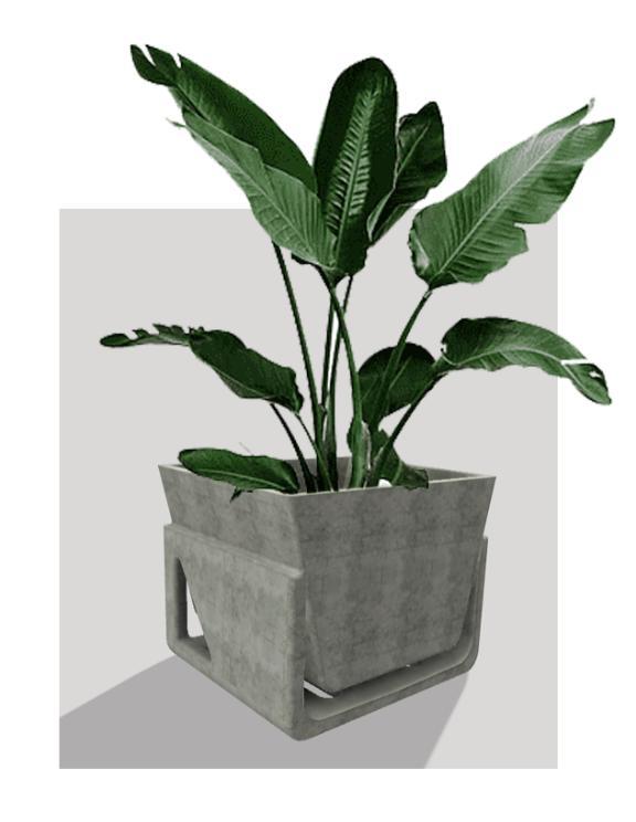 Modern indoor flower pot / Maceta moderna para interior / Modern indoor flower pot