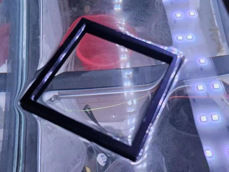 Aquarium Suspended Feeding Ring