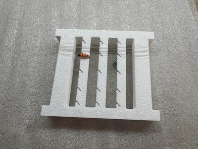 Fly Fishing Line Winder