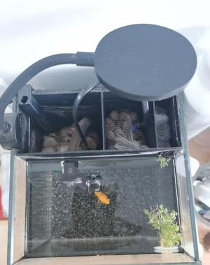 Back Filter for Fish Tank