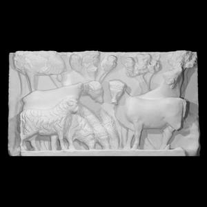 A flock of sheep and oxen