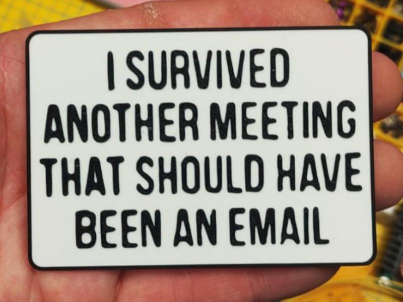 I survived another meeting ...