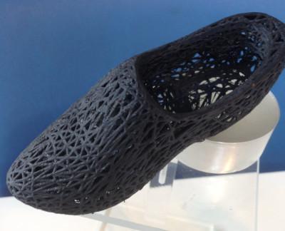 Wooden Shoe Voronoi Style