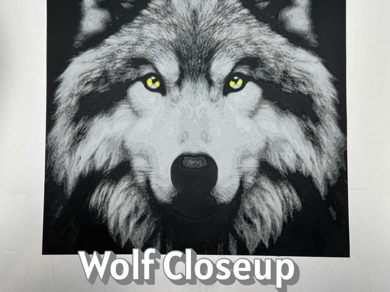 Wolf Closeup Hueforge