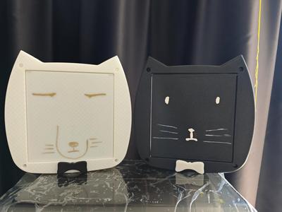 Locked Cat Flap Pet Door No Supports