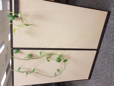 Cubical Vine Hanger for Plants