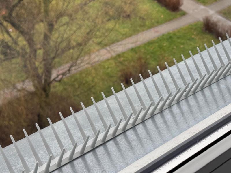 Modular bird spikes double and one side