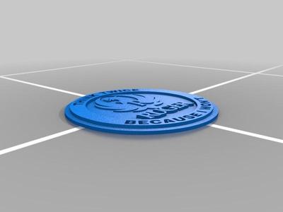 Ruger Coaster