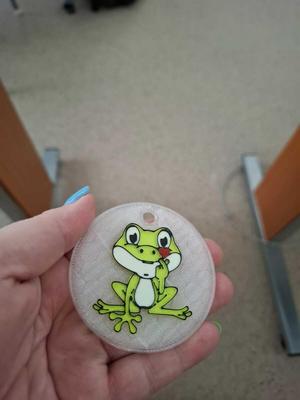 dentification medal for students (Frog)