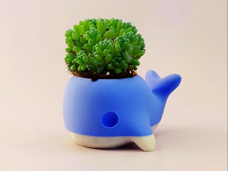 Cute Whale Planter