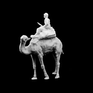 Engagements at Victoria, Embankment Gardens, London