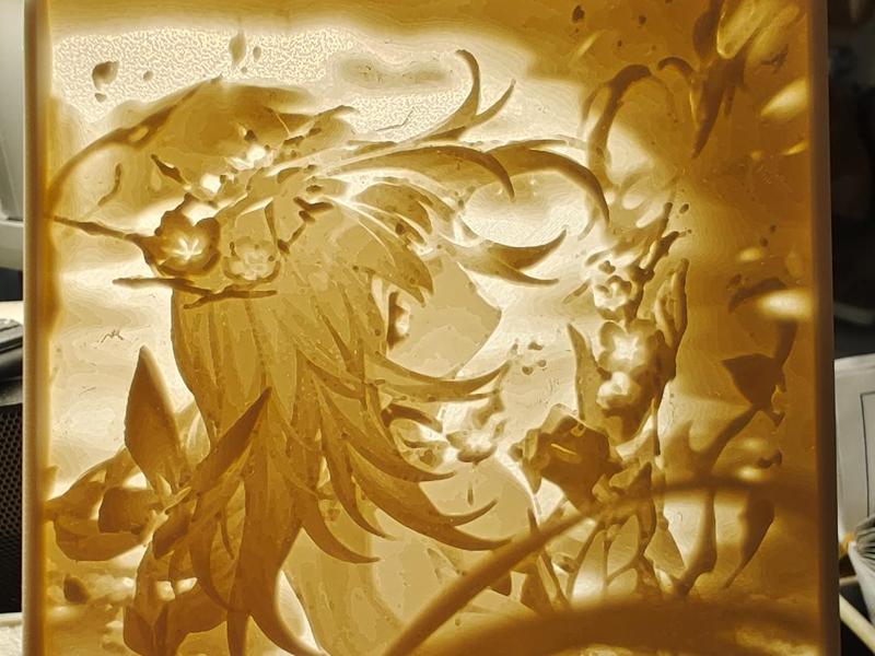 Hya-Honkai Star Rail Poster Lithophane