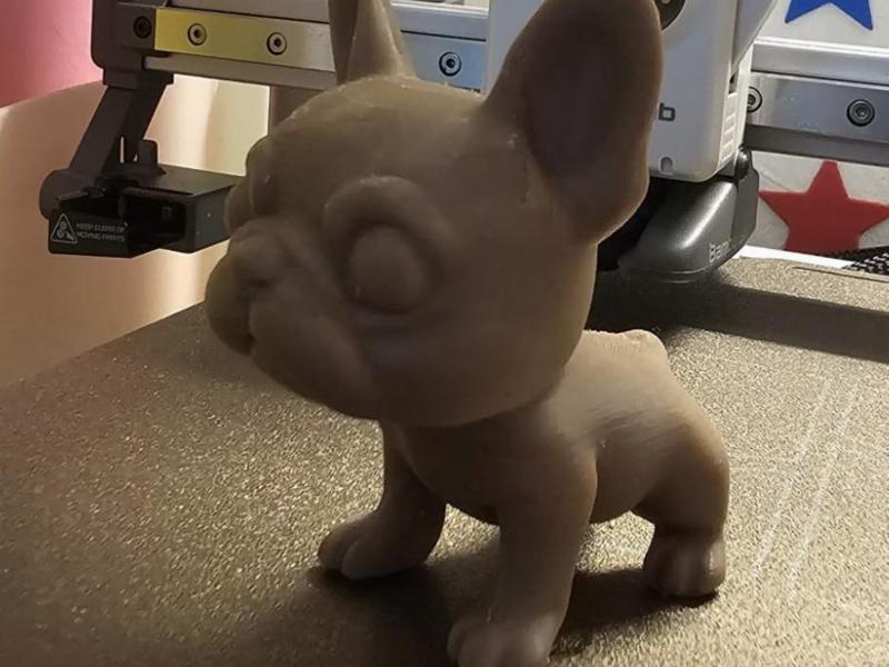 BULLDOG FRANCES (Tipo Funco)