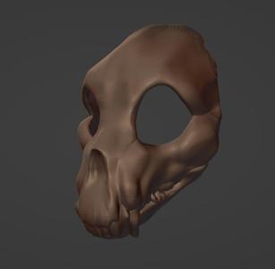 Animal skull