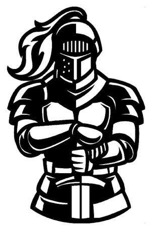 2D Knight