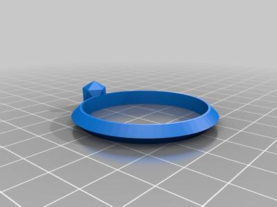 Ring/Jewelry (READ DESCRIPTION)