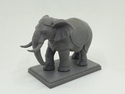African Elephant on Plinth