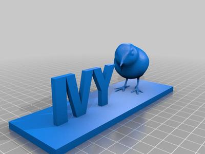 Ivy Name with Wren