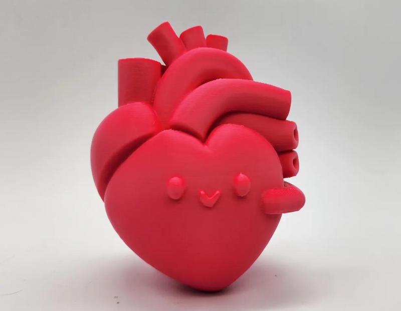 Anatomical Happy Heart   