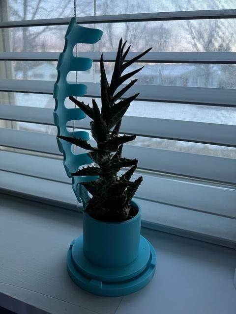 Curved Support Plant Pot - w/ Draining Base