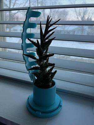 Curved Support Plant Pot - w/ Draining Base