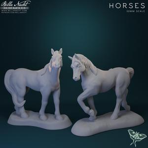 Horses