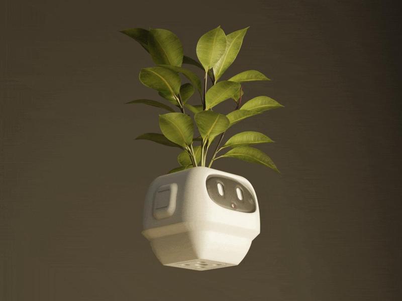 Robo Plant   