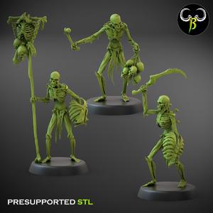 Flesh Skeleton leader Set