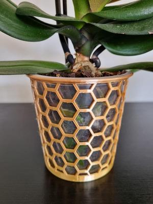 Orchid Basket for plastic pot