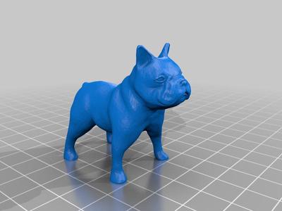 1:9 french bulldog