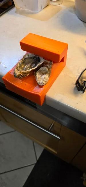 Sabot à huîtres / Oyster clog   