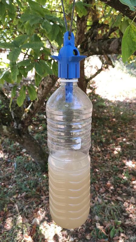 Selective Asian Hornet Bottle Trap