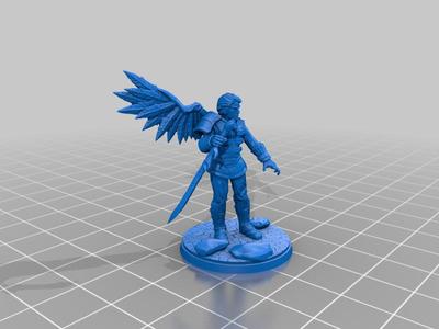One winged warrior