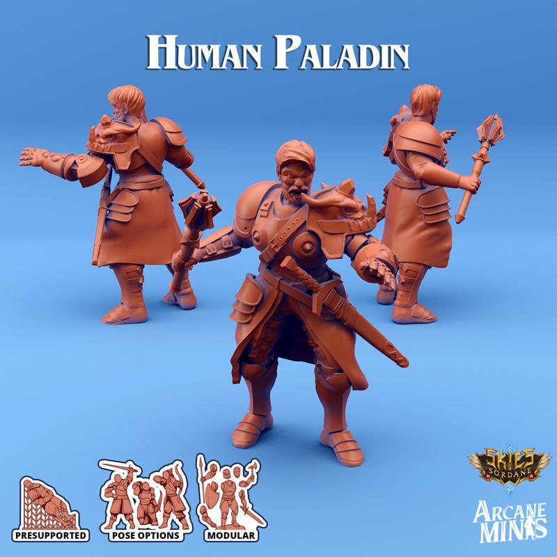 Human Paladin - Arrodan Syndicate