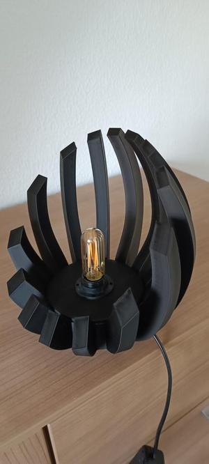 Lotus design lamp