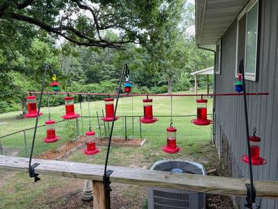 Updated - HD Hummingbird feeder moat 