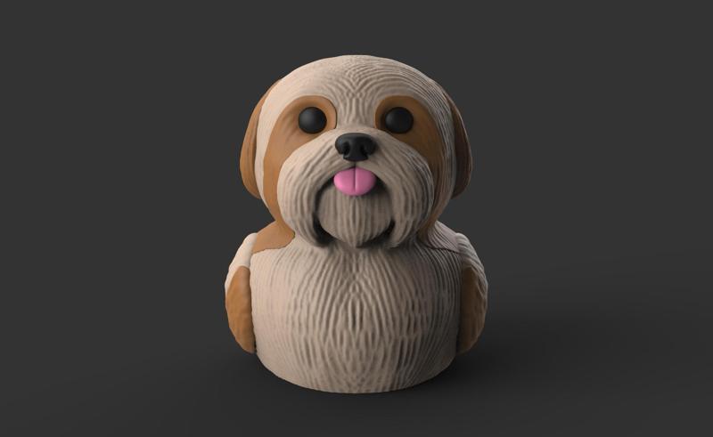 Shihi tzu - Ducki tzu