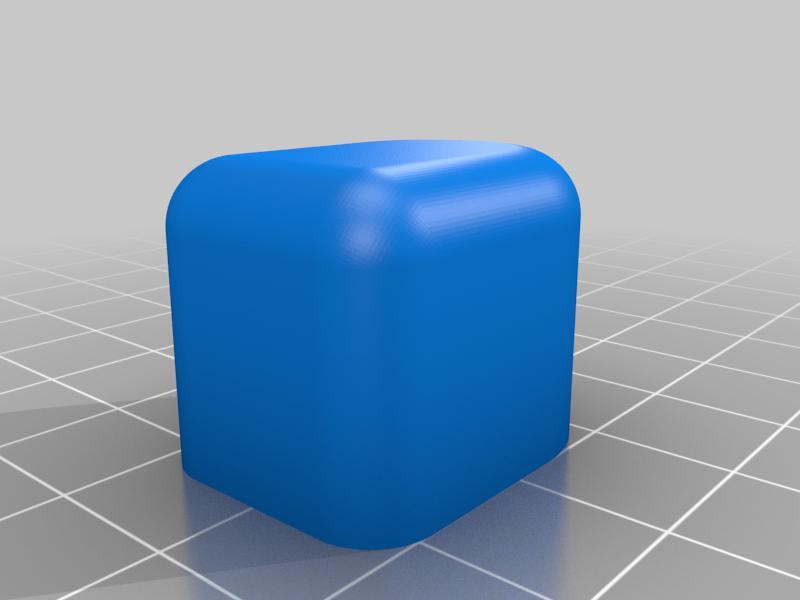 VAG 2.0 TDI CFF EGR Cap