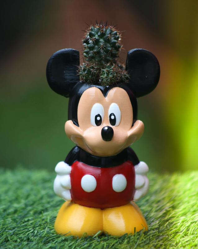 Mickey Mouse Planter or pencil holder